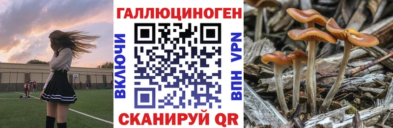 Галлюциногенные грибы мицелий  где купить наркоту  Новоаннинский 